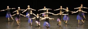 Gala de danse classique adultes 2026 